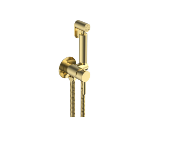 Douche Kit (Round) Manual Mixer – Brushed Gold