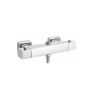 Square Exposed (2 Outlet) Thermostatic Shower Valve
