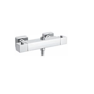 Square Exposed (2 Outlet) Thermostatic Shower Valve