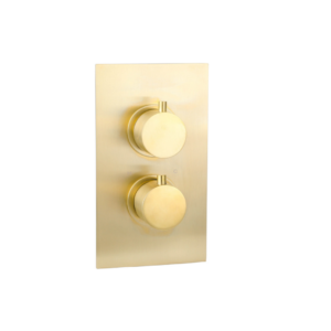 Treviso (2 Outlets) Thermostatic Concealed Shower Mixer – Brushed Gold (BO-TRV1530BG)