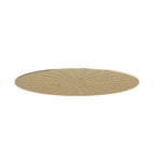 Round Ceiling Mounted (300mm) Overhead Shower – Brushed Gold