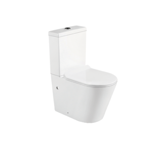 Riga – Close Coupled, Back to Wall Toilet