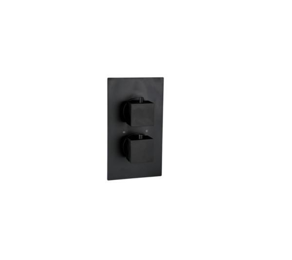 Messina (2 Outlets) Thermostatic Concealed Shower Mixer – Matt Black (BO-MS1425MB)