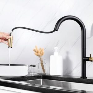 Grace Single Lever Kitchen Mixer (Brushed Gold & Black)